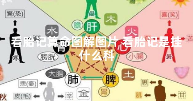 看胎记算命图解图片 看胎记是挂什么科